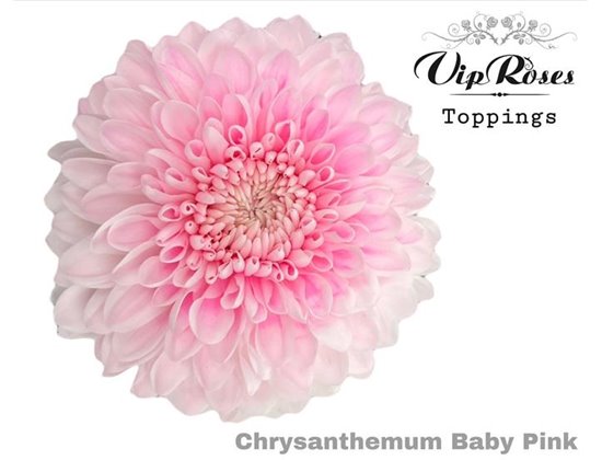 Marjetka deco Baby Pink c773