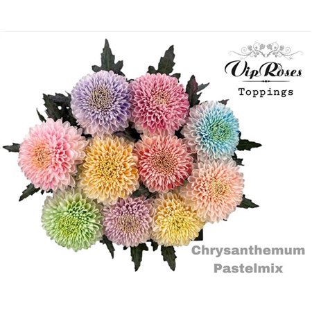 Marjetka deco Pastelmix c799