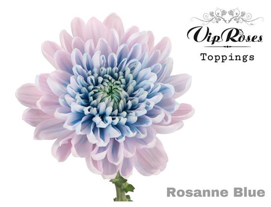 Marjetka deco Rosanne Blue c806