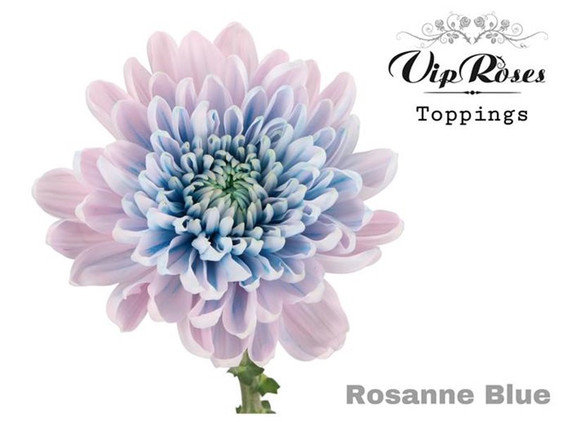 Marjetka deco Rosanne Blue c806