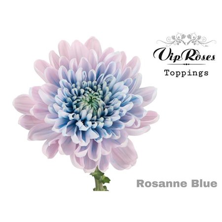 Marjetka deco Rosanne Blue c806