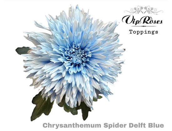 Marjetka deco Spider Delft Blue c815