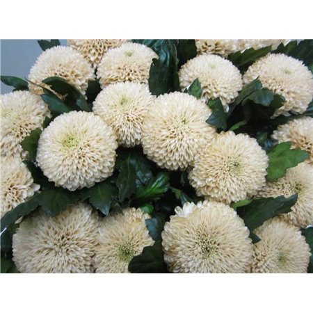 Marjetka deco Superbowl Sweet Blue c827