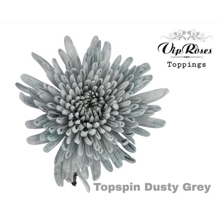 Marjetka deco Topspin Dusty Grey c844