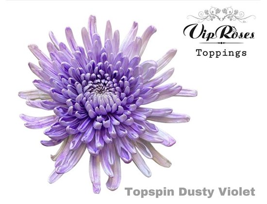 Marjetka deco Topspin Dusty Violet c849