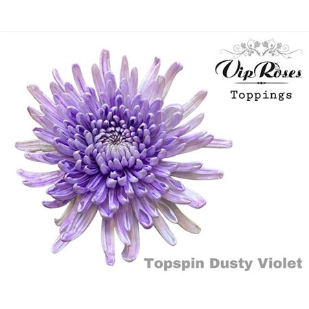 Marjetka deco Topspin Dusty Violet c849