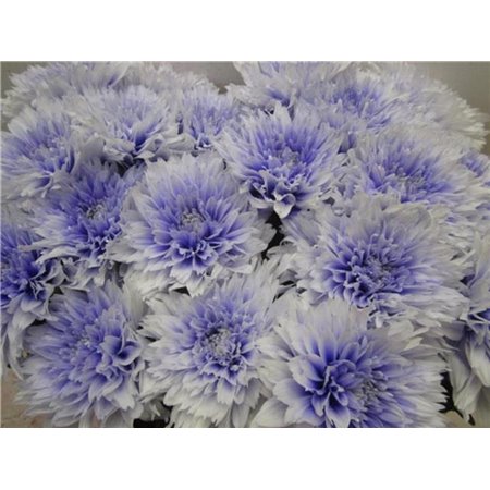 Marjetka deco Undercover Pastel Lilac c882