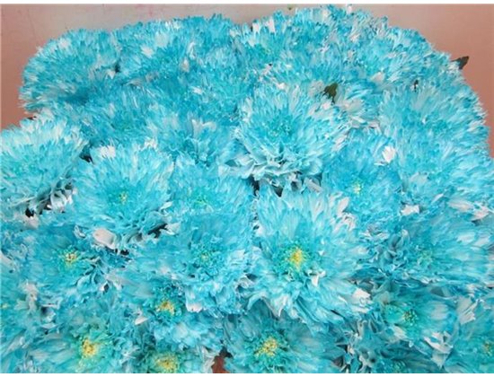 Marjetka deco Undercover Pastel Mint c884