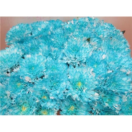 Marjetka deco Undercover Pastel Mint c884