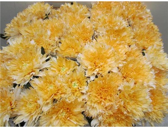 Marjetka deco Undercover Pastel Orange c886