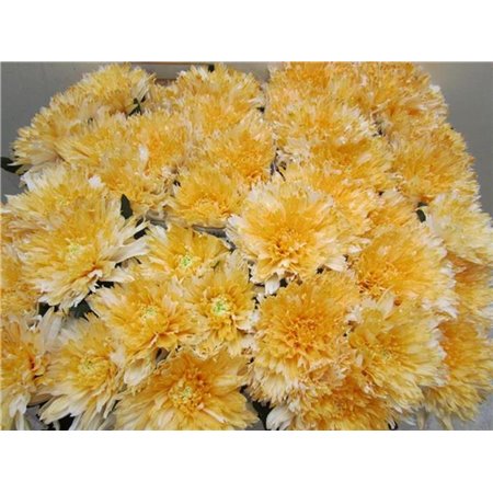 Marjetka deco Undercover Pastel Orange c886