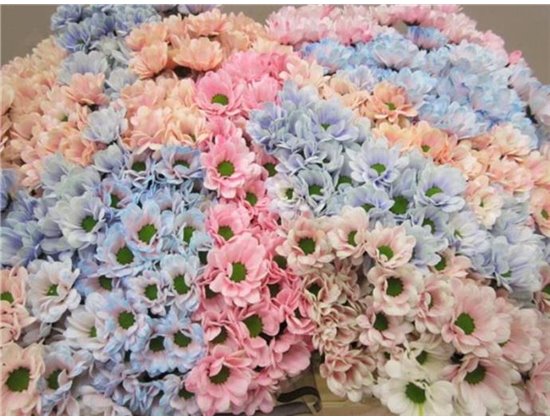 Marjetka santini Bowi Mixed c893