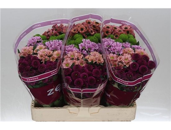 Marjetka santini Mixed Happy c932