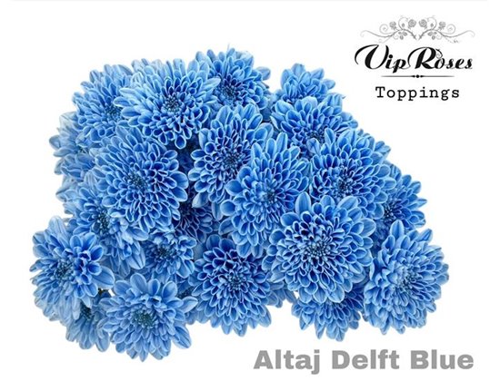 Marjetka T Altaj Delft Blue c966
