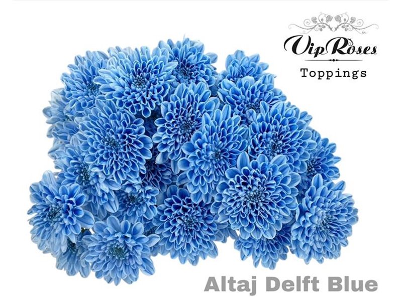 Marjetka T Altaj Delft Blue c966