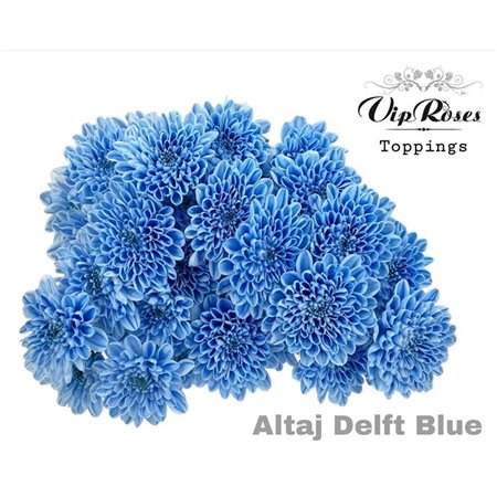 Marjetka T Altaj Delft Blue c966