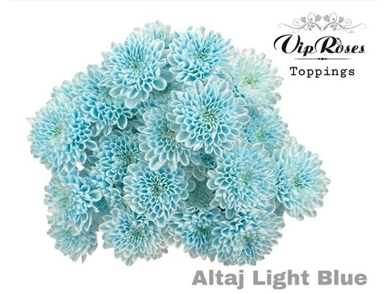 Marjetka T Altaj Light Blue c970