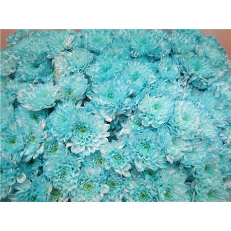 Marjetka T Altaj Pastel Mint c978