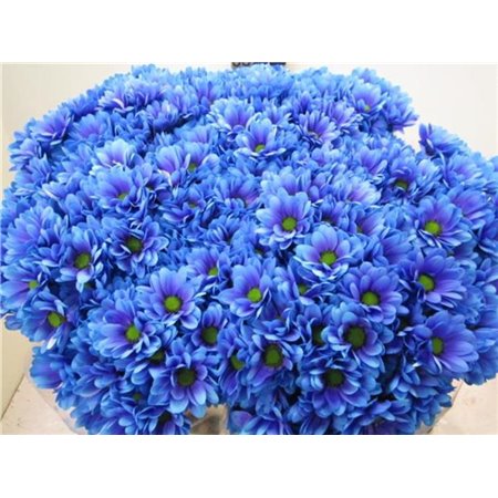 Marjetka T Bacardi Blue Lagoon c992