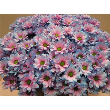 Marjetka T Bacardi Bubblegum c994