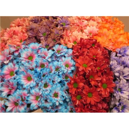 Marjetka T Bacardi Mixed 2 Colourful c1007