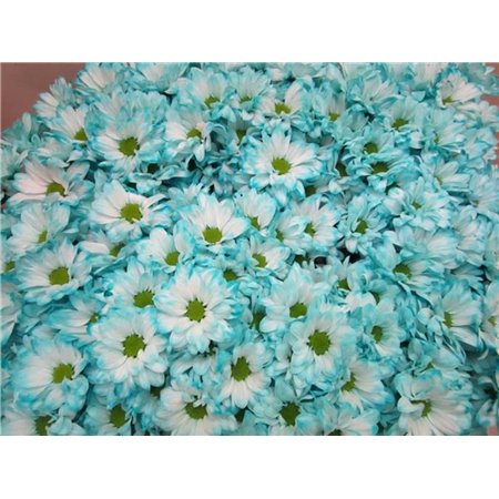 Marjetka T Bacardi Pastel Mint c1014