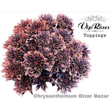 Marjetka T Bizar Bazar c1030