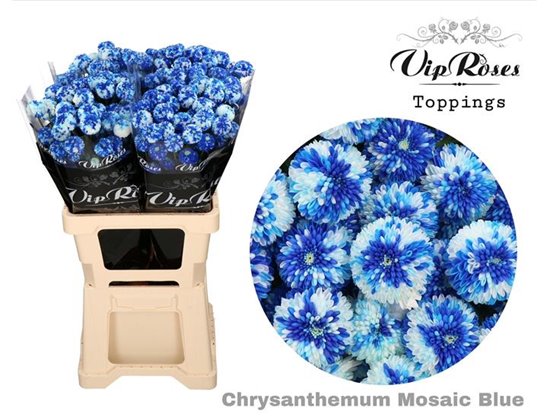 Marjetka T Mosaic Blue c1094