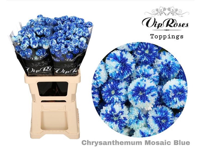 Marjetka T Mosaic Blue c1094