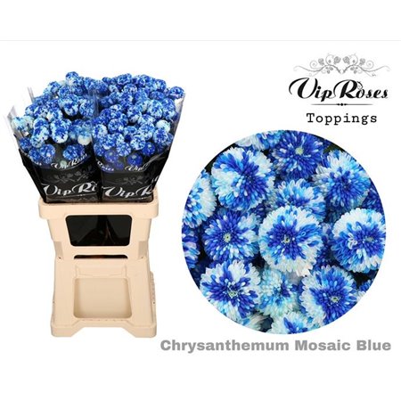 Marjetka T Mosaic Blue c1094