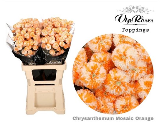 Marjetka T Mosaic Orange c1096