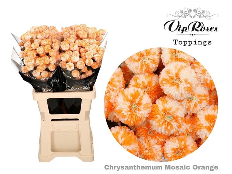 Marjetka T Mosaic Orange c1096