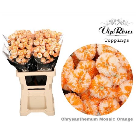 Marjetka T Mosaic Orange c1096