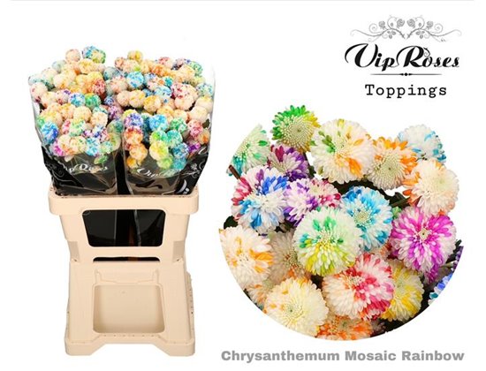 Marjetka T Mosaic Orange c1097