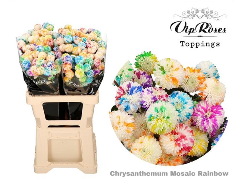 Marjetka T Mosaic Orange c1097