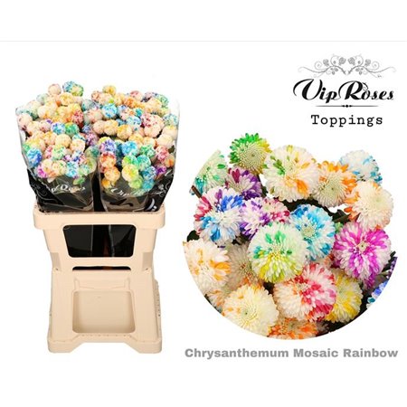 Marjetka T Mosaic Orange c1097