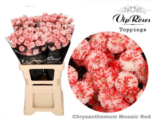 Marjetka T Mosaic Red c1098