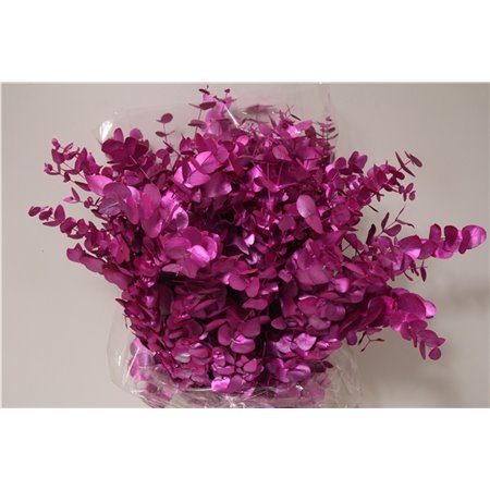 Evkaliptus Cinerea Col Purple 200gr (p. bunch) c1565