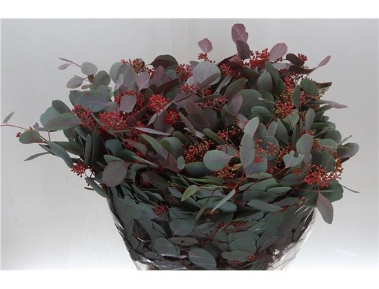 Evkaliptus Populus Berry Abs Red 300gr (p. bunch) c1597