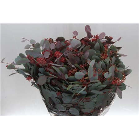 Evkaliptus Populus Berry Abs Red 300gr (p. bunch) c1597