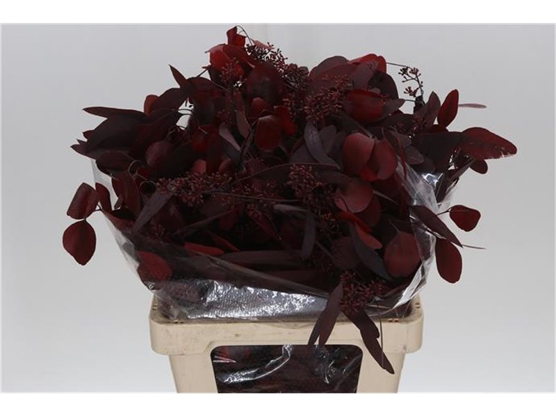 Evkaliptus Populus Berry Abs Red 300gr (p. bunch) c1598