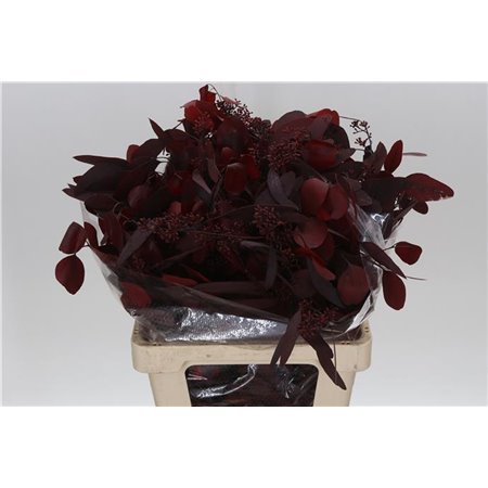 Evkaliptus Populus Berry Abs Red 300gr (p. bunch) c1598