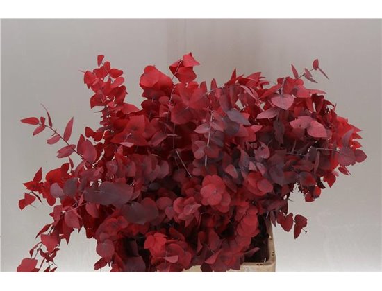 Evkaliptus Stuart. Pink Lady 200gr (p. bunch) c1616