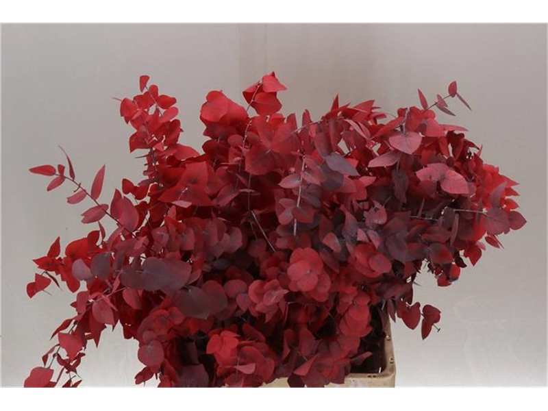 Evkaliptus Stuart. Pink Lady 200gr (p. bunch) c1616