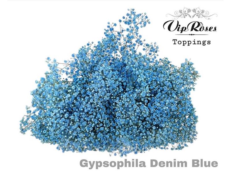 Gipsofila Pa Denim Blue c2059