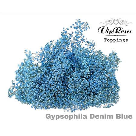 Gipsofila Pa Denim Blue c2059