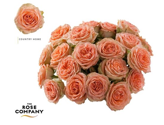 Vrtnica Garden Country Home c2846