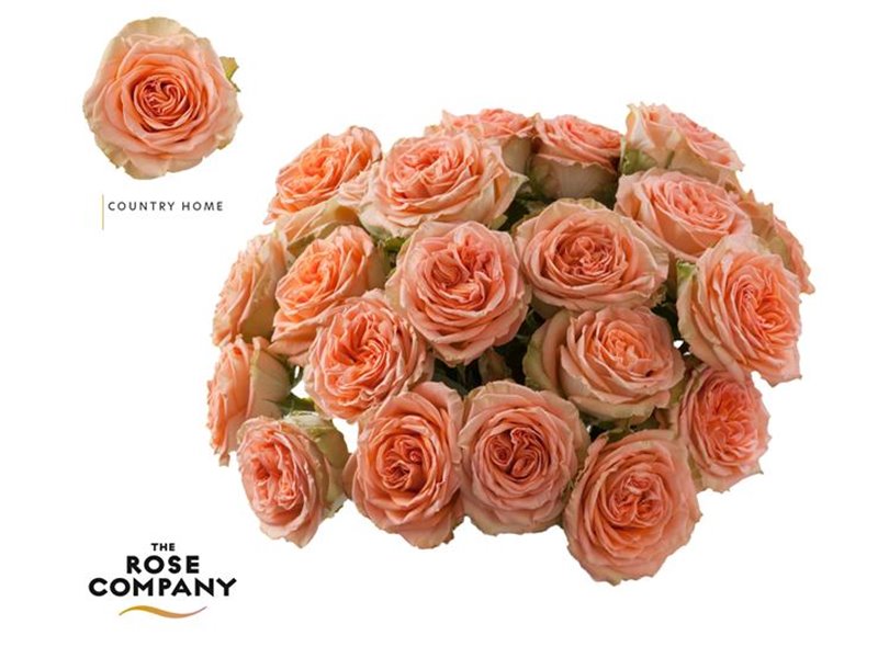 Vrtnica Garden Country Home c2846