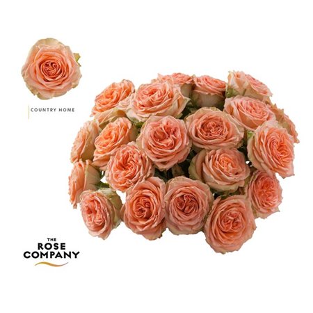 Vrtnica Garden Country Home c2846