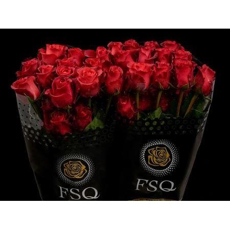 Vrtnica Mathilda c2951